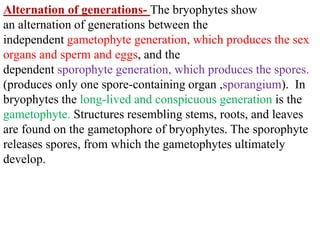Alternation of generations- The bryophytes show
an alternation of generations between the
independent gametophyte generation, which produces the sex
organs and sperm and eggs, and the
dependent sporophyte generation, which produces the spores.
(produces only one spore-containing organ ,sporangium). In
bryophytes the long-lived and conspicuous generation is the
gametophyte. Structures resembling stems, roots, and leaves
are found on the gametophore of bryophytes. The sporophyte
releases spores, from which the gametophytes ultimately
develop.
 