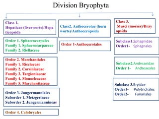 Division Bryophyta
Class 3.
Musci (mosses)/Bray
opsida
Subclass1.Sphagnidae
Order1- Sphagnales
Subclass2.Andreaeidae
Order 1- Andreaeales
Subclass 3.Bryidae
Order1- Polytrichales
Order2- Funariales
Class2. Anthocerotae (horn
worts)/Anthoceropsida
Class 1.
Hepaticae (liverworts)/Hepa
ticopsida
Order 1. Sphaerocarpales
Family 1. Sphaerocarpaceae
Family 2. Riellaceae
Order 2. Marchantiales
Family 1. Ricciaceae
Family 2. Corsiniaceae
Family 3. Targioniaceae
Family 4. Monocleaceae
Family 5. Marchantiaceae
Order 3. Jungermanniales
Suborder 1. Metzgerineae
Suborder 2. Jungermannineae
Order 4. Calobryales
Order 1-Anthocerotales
 