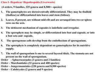 Class I- Hepaticae/ Hepaticopsida (Liverworts)
(4 orders, 9 families, 225 genera and 8,500+- species)
1. The gametophytes are dorosiventrally differentiated. They may be thalloid
(thallose) or differentiated into leaves and stem (foliose).
2. Leaves, if present, are without mid-rib and are arranged into two or tghree
rows on the axis.
3. The dehiscent mechanism of capsules is indefinite and irregular.
4. The sporophyte may be simple, or differentiated into foot and capsule, or into
a foot seta and capsule,
5. The sporogenous cells develop from the endothecium of sporogonium.
6. The sporophyte is completely dependent on gametophytes for its nutritive
supply.
7. The wall of sporogonium is one to several layered thick. The stomata are not
present on the wall of sporogonium.
Order - Sphaerocarpales (3 genera and 2 families)
Order – Marchantiales (32 genera and 400 species)
Order – Jungermanniales (220 genera and 8,500 species)
Order – Calobryales (2 genera and 9 species)
 
