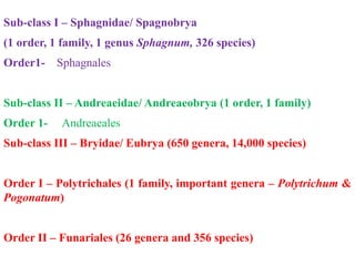 Sub-class I – Sphagnidae/ Spagnobrya
(1 order, 1 family, 1 genus Sphagnum, 326 species)
Order1- Sphagnales
Sub-class II – Andreaeidae/ Andreaeobrya (1 order, 1 family)
Order 1- Andreaeales
Sub-class III – Bryidae/ Eubrya (650 genera, 14,000 species)
Order I – Polytrichales (1 family, important genera – Polytrichum &
Pogonatum)
Order II – Funariales (26 genera and 356 species)
 