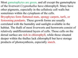 Most gametophytes are green, and all except the gametophyte
of the liverwort Cryptothallus have chlorophyll. Many have
other pigments, especially in the cellulosic cell walls but
sometimes within the cytoplasm of the cells.
Bryophytes form flattened mats, spongy carpets, turfs, or
festooning pendants. These growth forms are usually
correlated with the humidity and sunlight available in the
habitat. The thalli of most liverworts and hornworts consist of
relatively undifferentiated layers of cells. Those cells on the
dorsal surface are rich in chlorophyll, while those situated
deeper within the thallus lack chlorophyll but have storage
products of photosynthesis, especially starch.
 