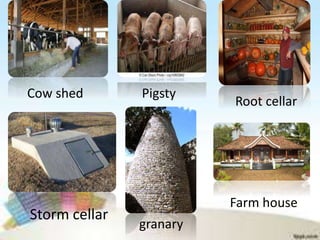 Cow shed Pigsty
Root cellar
Storm cellar
granary
Farm house
 