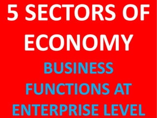 5 SECTORS OF
ECONOMY
BUSINESS
FUNCTIONS AT
ENTERPRISE LEVEL
 