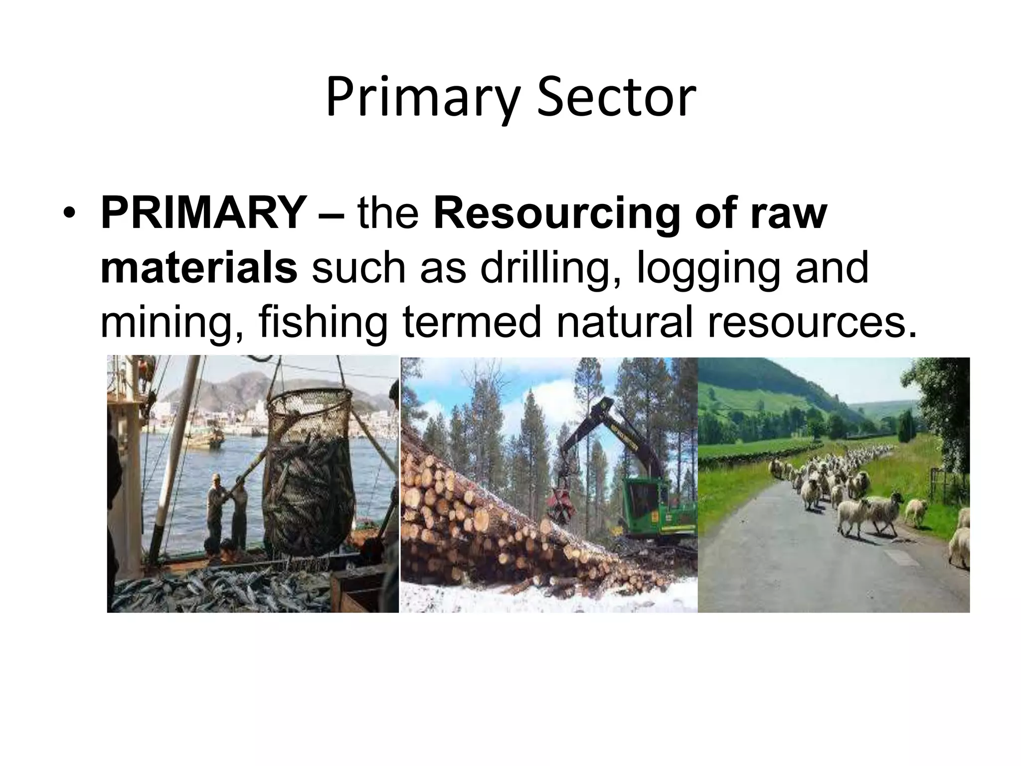 Classification of business activity | PPTX