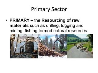 Primary Sector
• PRIMARY – the Resourcing of raw
materials such as drilling, logging and
mining, fishing termed natural resources.
 