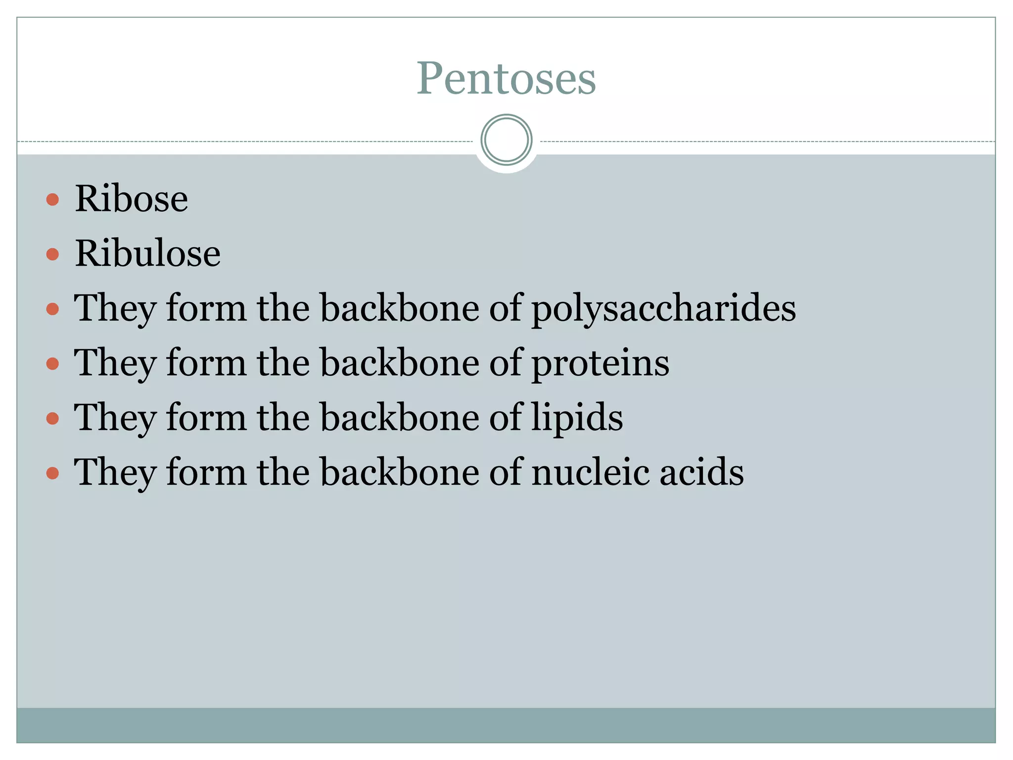 Pentoses
Ribose
Ribulose
They form the backbone of polysaccharides
They form the backbone of proteins
They form the backbone of lipids
They form the backbone of nucleic acids