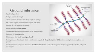 Ground substance
◦ Type II collagen fibers
◦ Collagen- stability & strength
◦ Fibers constitute about the 40% of dry weight of cartilage
◦ 150 Keratan sulphate and chondroitin sulphate side chains
attach to ACAN ( aggrecan) or cartilage
specific proteoglycan core protein.
◦ This aggregate attaches (non-covalently) to the hyaluronic acid
backbone via Linker protein
◦ This structure then binds to collagen fibre II
◦ Semi rigid nature of cartilage is due to water bound to negatively charged sulphated GAG chains extending from proteoglycan core
proteins
◦ Another important component of matrix is chondronectin which is a multi adhesive protein that binds specifically to GAG’s, collagen II
and integrins
 