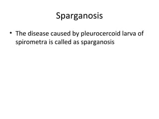 Sparganosis
• The disease caused by pleurocercoid larva of
spirometra is called as sparganosis
 