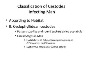 • According to Habitat
• II. Cyclophyllidean cestodes
• Possess cup-like and round suckers called acetabula
• Larval Stages in Man
» Hydatid cyst of Echinococcus granulosus and
Echinococcus multilocularis
» Cysticercus cellulosa of Taenia solium
Classification of Cestodes
Infecting Man
 