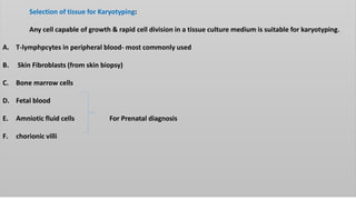 Selection of tissue for Karyotyping:
Any cell capable of growth & rapid cell division in a tissue culture medium is suitable for karyotyping.
A. T-lymphpcytes in peripheral blood- most commonly used
B. Skin Fibroblasts (from skin biopsy)
C. Bone marrow cells
D. Fetal blood
E. Amniotic fluid cells For Prenatal diagnosis
F. chorionic villi
 