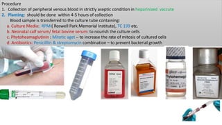 Procedure
1. Collection of peripheral venous blood in strictly aseptic condition in heparinized vaccute
2. Planting: should be done within 4-5 hours of collection
Blood sample is transferred to the culture tube containing:
a. Culture Media: RPMI( Roswell Park Memorial Institute), TC 199 etc.
b. Neonatal calf serum/ fetal bovine serum: to nourish the culture cells
c. Phytoheamaglutinin : Mitotic aget – to increase the rate of mitosis of cultured cells
d. Antibiotics: Penicilllin & streptomycin combination – to prevent bacterial growth
 