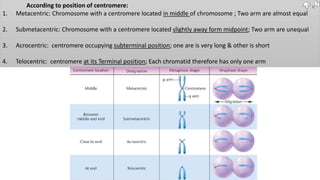 According to position of centromere:
1. Metacentric: Chromosome with a centromere located in middle of chromosome ; Two arm are almost equal
2. Submetacentric: Chromosome with a centromere located slightly away form midpoint; Two arm are unequal
3. Acrocentric: centromere occupying subterminal position; one are is very long & other is short
4. Telocentric: centromere at its Terminal position; Each chromatid therefore has only one arm
 