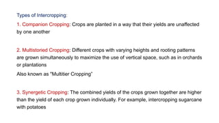 Comprehensive Classification and Analysis of Cropping Systems in ...