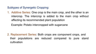 Comprehensive Classification and Analysis of Cropping Systems in ...