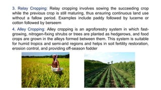 Comprehensive Classification and Analysis of Cropping Systems in ...