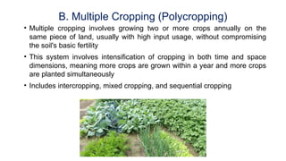 Comprehensive Classification and Analysis of Cropping Systems in ...