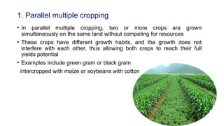 Comprehensive Classification and Analysis of Cropping Systems in ...