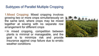 Comprehensive Classification and Analysis of Cropping Systems in ...