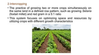 Comprehensive Classification and Analysis of Cropping Systems in ...