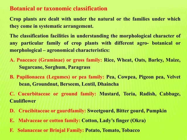 Classification Of Crops