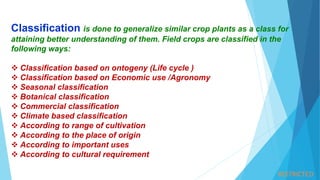 Classification of crops | PPTX