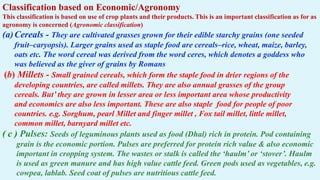 RESTRICTED
Classification based on Economic/Agronomy
This classification is based on use of crop plants and their products. This is an important classification as for as
agronomy is concerned (Agronomic classification)
(a)Cereals - They are cultivated grasses grown for their edible starchy grains (one seeded
fruit–caryopsis). Larger grains used as staple food are cereals–rice, wheat, maize, barley,
oats etc. The word cereal was derived from the word ceres, which denotes a goddess who
was believed as the giver of grains by Romans
(b) Millets - Small grained cereals, which form the staple food in drier regions of the
developing countries, are called millets. They are also annual grasses of the group
cereals. But’ they are grown in lesser area or less important area whose productivity
and economics are also less important. These are also staple food for people of poor
countries. e.g. Sorghum, pearl Millet and finger millet , Fox tail millet, little millet,
common millet, barnyard millet etc.
( c ) Pulses: Seeds of leguminous plants used as food (Dhal) rich in protein. Pod containing
grain is the economic portion. Pulses are preferred for protein rich value & also economic
important in cropping system. The wastes or stalk is called the ‘haulm’ or ‘stover’. Haulm
is used as green manure and has high value cattle feed. Green pods used as vegetables, e.g.
cowpea, lablab. Seed coat of pulses are nutritious cattle feed.
 