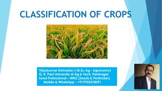 CLASSIFICATION OF CROPS
 