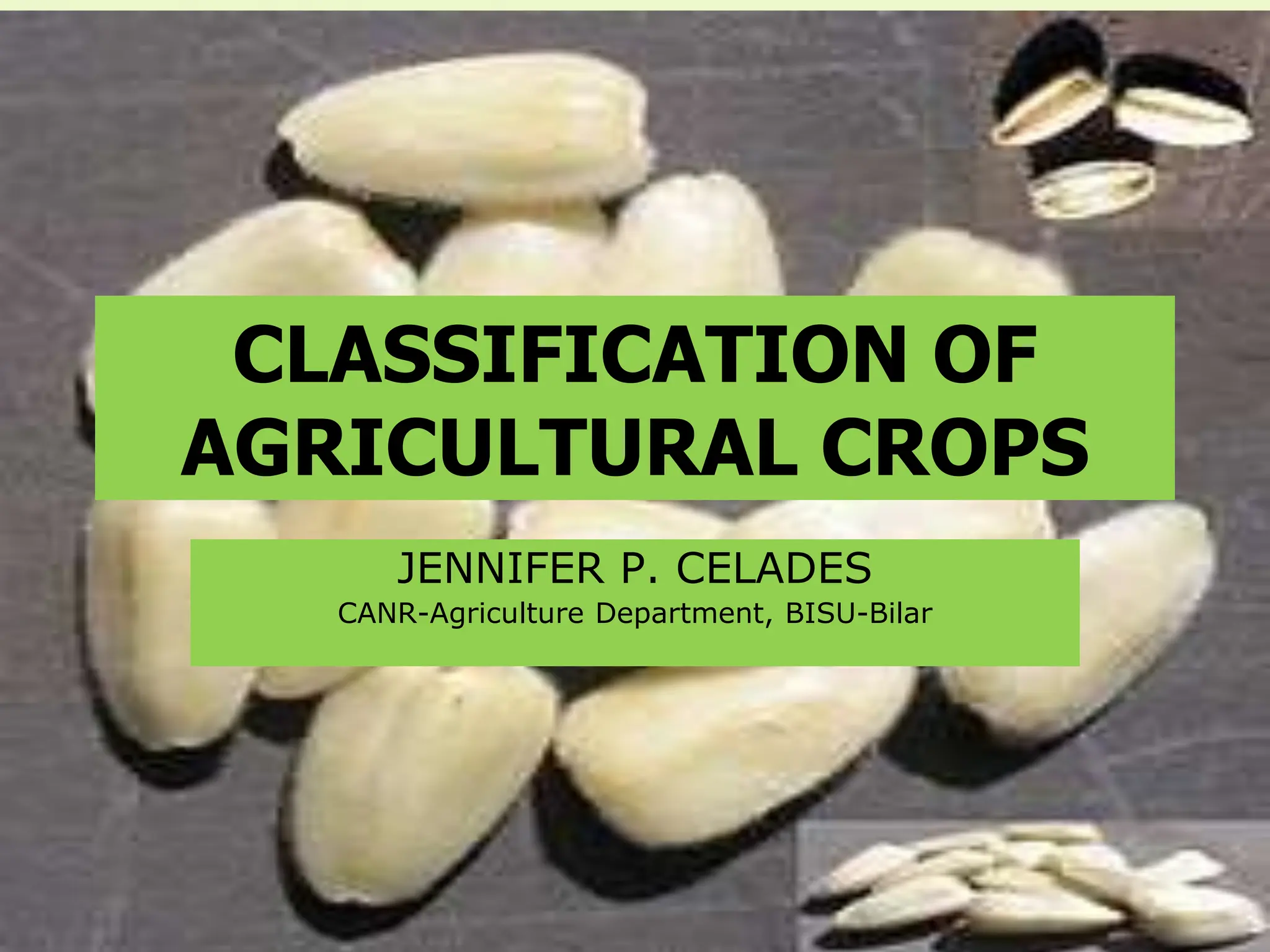 CLASSIFICATION OF
AGRICULTURAL CROPS
JENNIFER P. CELADES
CANR-Agriculture Department, BISU-Bilar
 