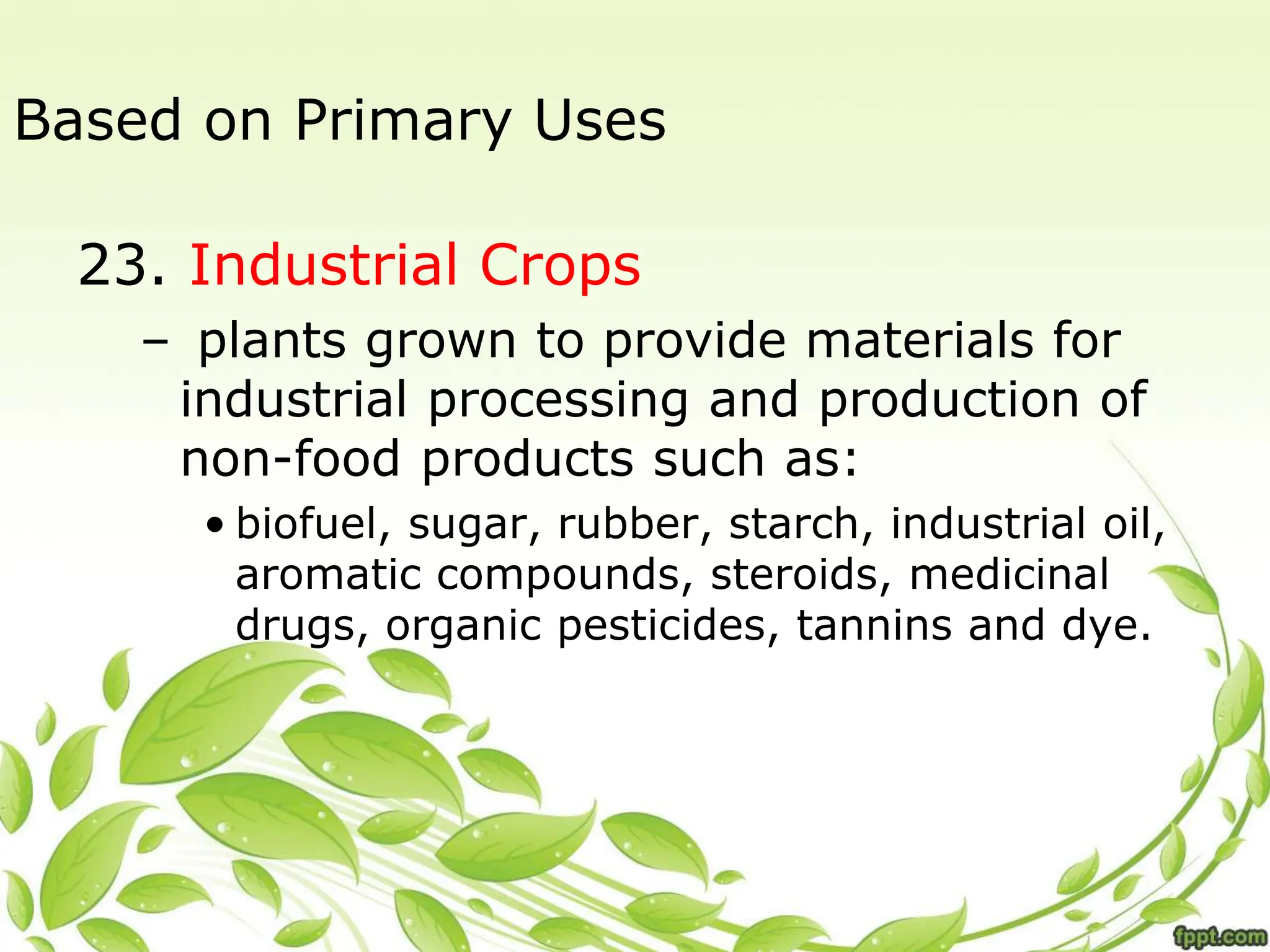 Based on Primary Uses
23. Industrial Crops
– plants grown to provide materials for
industrial processing and production of
non-food products such as:
• biofuel, sugar, rubber, starch, industrial oil,
aromatic compounds, steroids, medicinal
drugs, organic pesticides, tannins and dye.
 