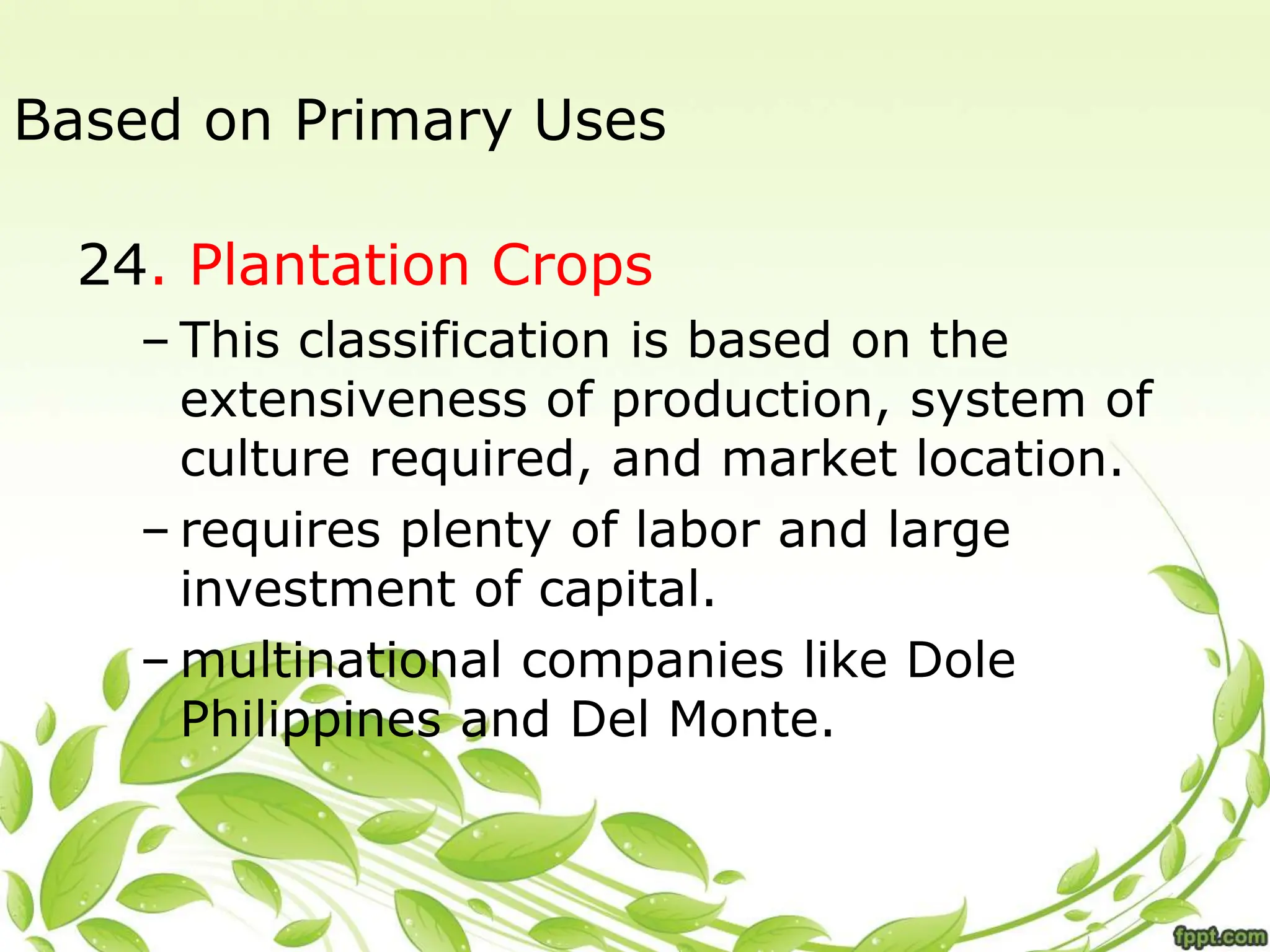 Based on Primary Uses
24. Plantation Crops
– This classification is based on the
extensiveness of production, system of
culture required, and market location.
– requires plenty of labor and large
investment of capital.
– multinational companies like Dole
Philippines and Del Monte.
 