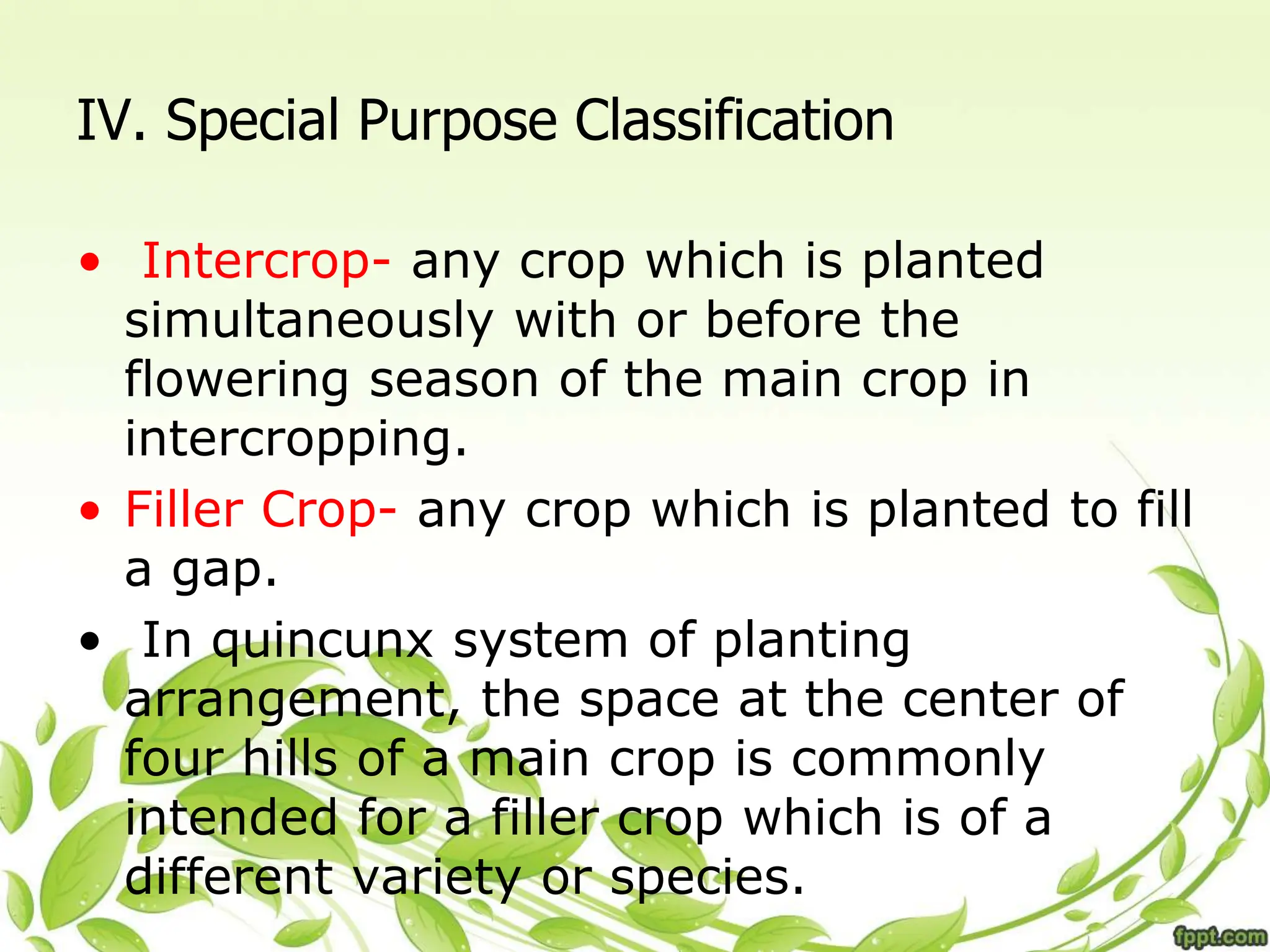 IV. Special Purpose Classification
• Intercrop- any crop which is planted
simultaneously with or before the
flowering season of the main crop in
intercropping.
• Filler Crop- any crop which is planted to fill
a gap.
• In quincunx system of planting
arrangement, the space at the center of
four hills of a main crop is commonly
intended for a filler crop which is of a
different variety or species.
 