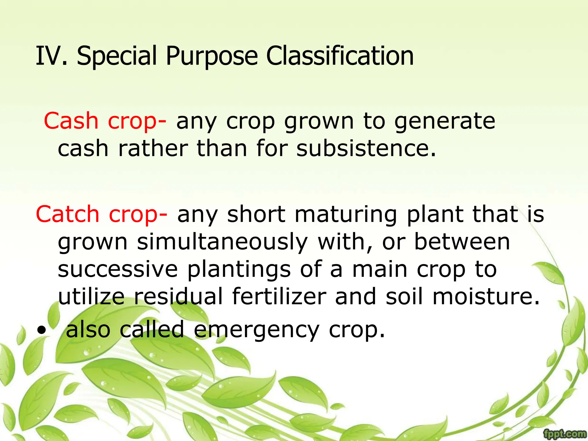IV. Special Purpose Classification
Cash crop- any crop grown to generate
cash rather than for subsistence.
Catch crop- any short maturing plant that is
grown simultaneously with, or between
successive plantings of a main crop to
utilize residual fertilizer and soil moisture.
• also called emergency crop.
 