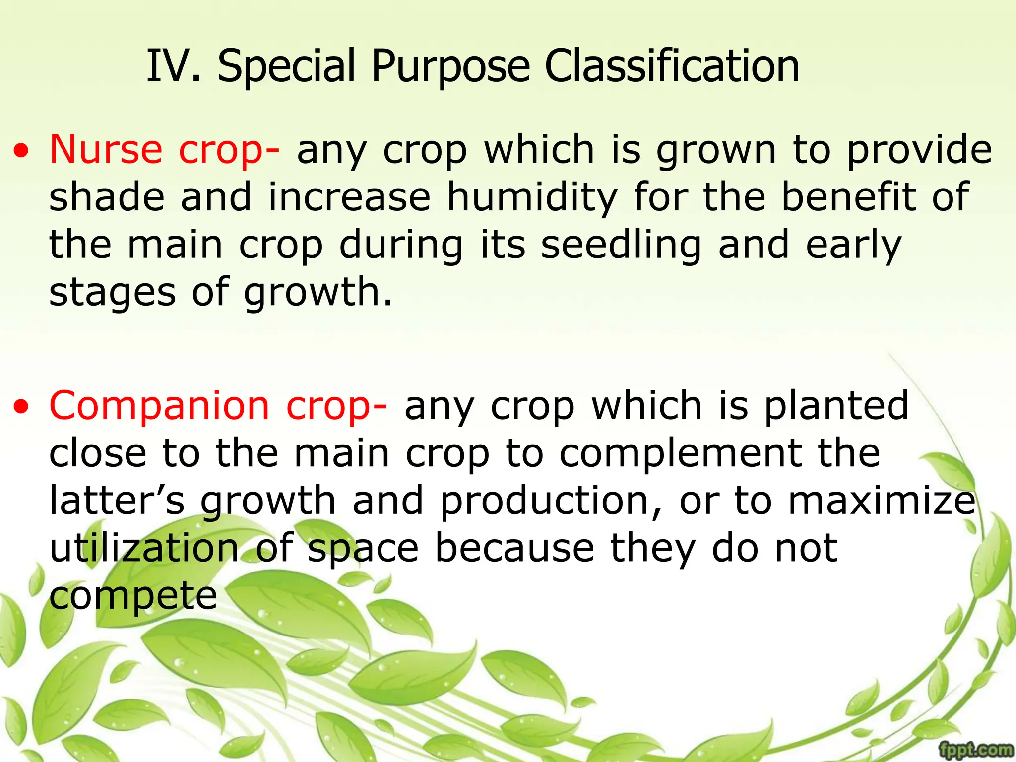 IV. Special Purpose Classification
• Nurse crop- any crop which is grown to provide
shade and increase humidity for the benefit of
the main crop during its seedling and early
stages of growth.
• Companion crop- any crop which is planted
close to the main crop to complement the
latter’s growth and production, or to maximize
utilization of space because they do not
compete
 