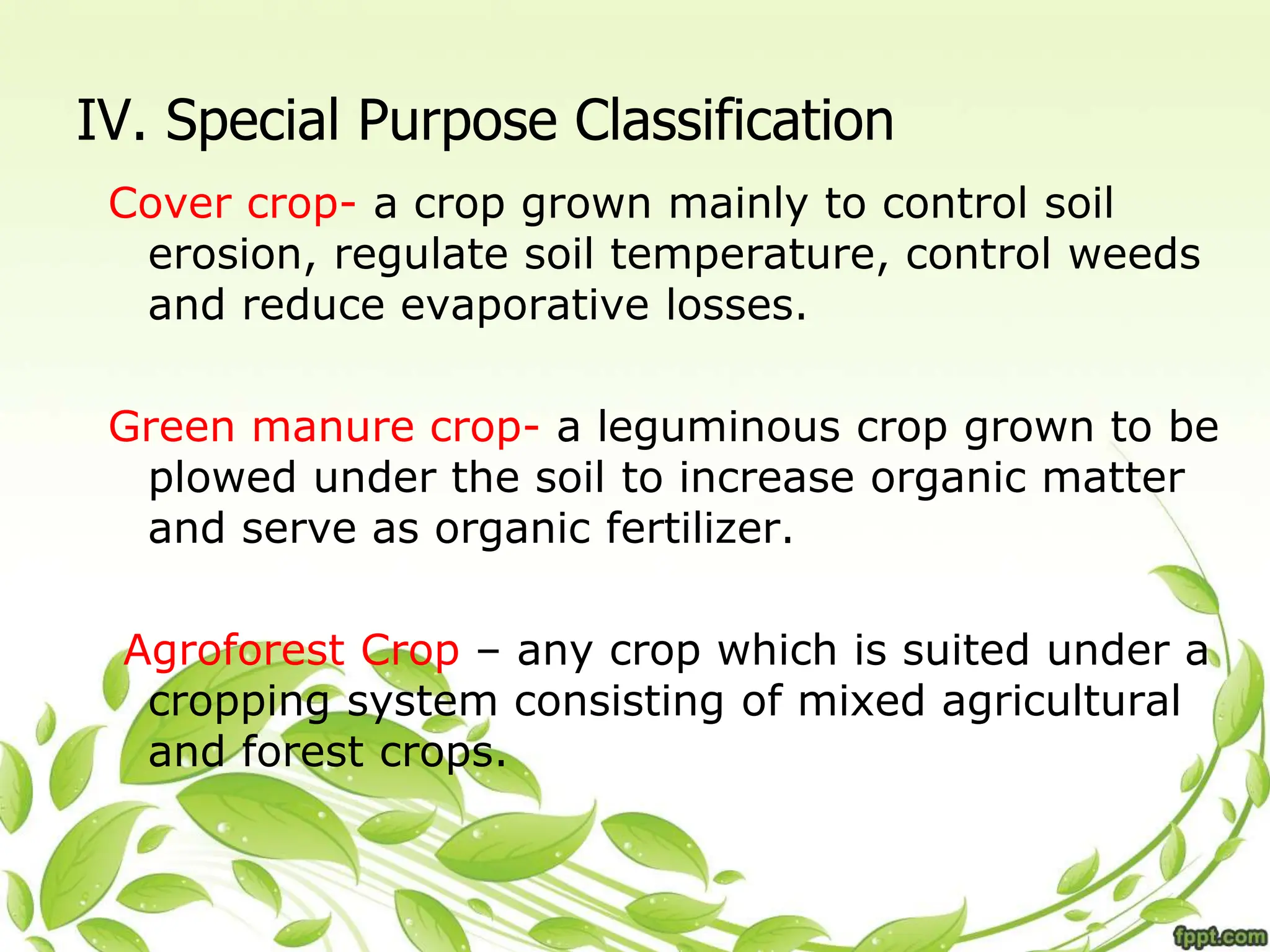 IV. Special Purpose Classification
Cover crop- a crop grown mainly to control soil
erosion, regulate soil temperature, control weeds
and reduce evaporative losses.
Green manure crop- a leguminous crop grown to be
plowed under the soil to increase organic matter
and serve as organic fertilizer.
Agroforest Crop – any crop which is suited under a
cropping system consisting of mixed agricultural
and forest crops.
 