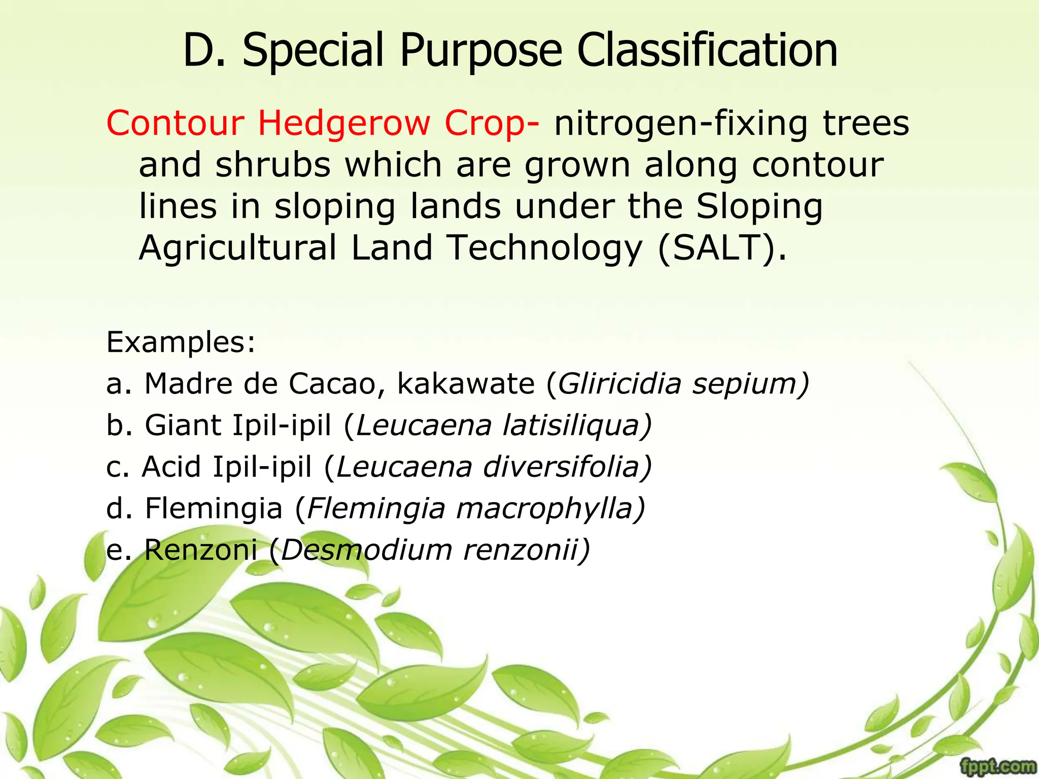 D. Special Purpose Classification
Contour Hedgerow Crop- nitrogen-fixing trees
and shrubs which are grown along contour
lines in sloping lands under the Sloping
Agricultural Land Technology (SALT).
Examples:
a. Madre de Cacao, kakawate (Gliricidia sepium)
b. Giant Ipil-ipil (Leucaena latisiliqua)
c. Acid Ipil-ipil (Leucaena diversifolia)
d. Flemingia (Flemingia macrophylla)
e. Renzoni (Desmodium renzonii)
 