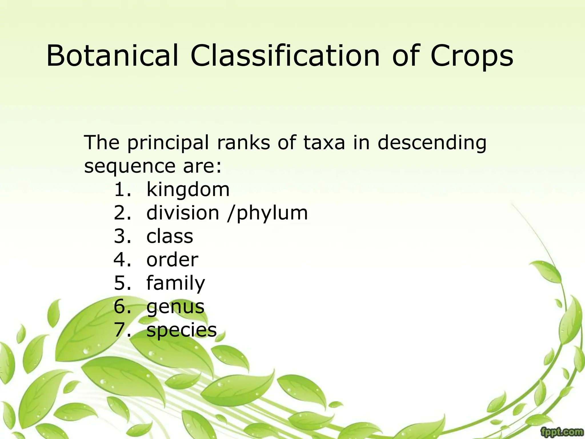 Botanical Classification of Crops
The principal ranks of taxa in descending
sequence are:
1. kingdom
2. division /phylum
3. class
4. order
5. family
6. genus
7. species
 