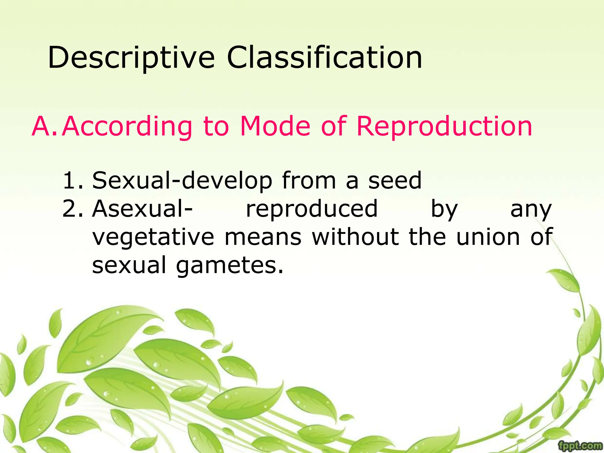 Descriptive Classification
A.According to Mode of Reproduction
1. Sexual-develop from a seed
2. Asexual- reproduced by any
vegetative means without the union of
sexual gametes.
 