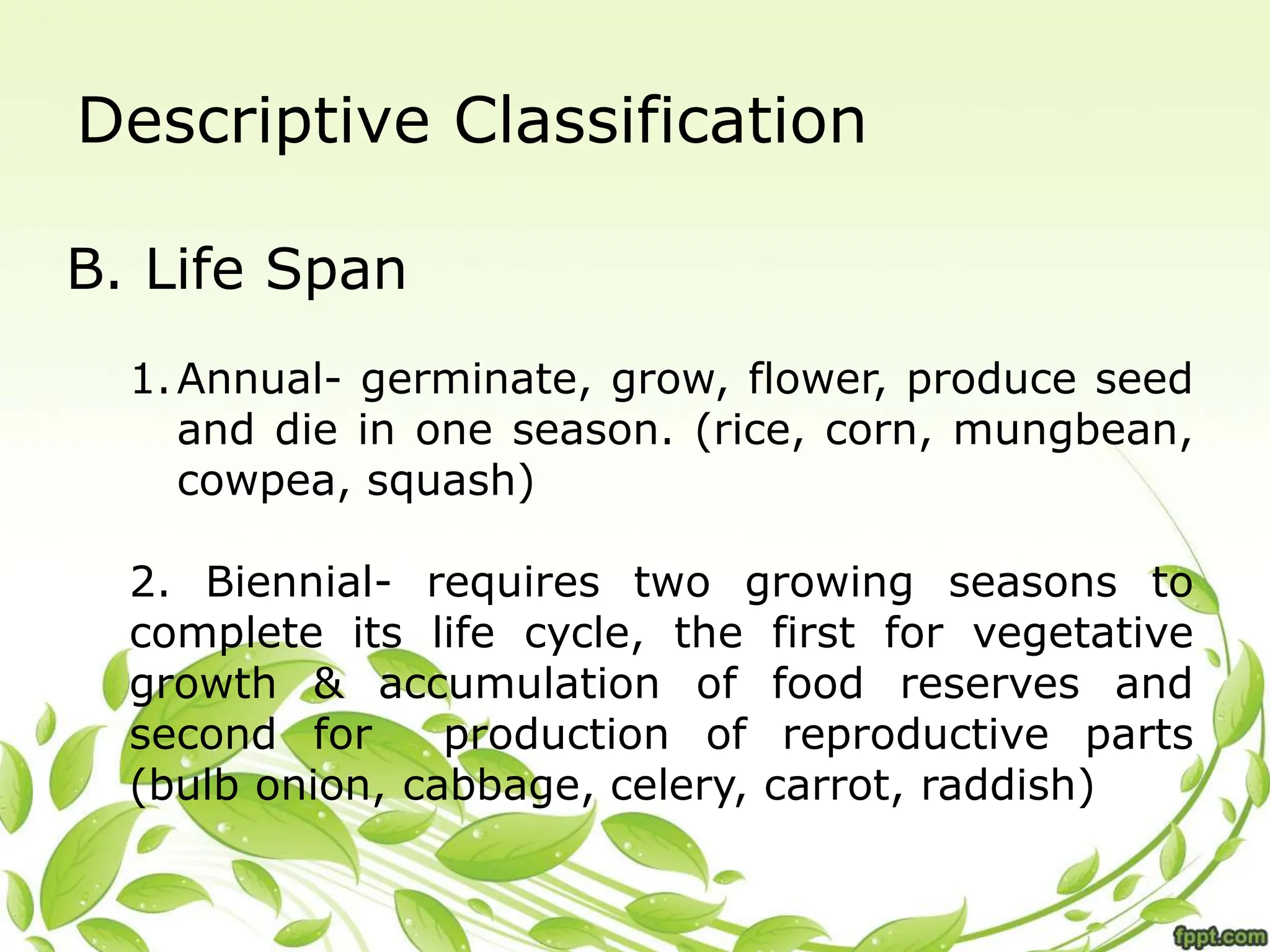 Descriptive Classification
B. Life Span
1.Annual- germinate, grow, flower, produce seed
and die in one season. (rice, corn, mungbean,
cowpea, squash)
2. Biennial- requires two growing seasons to
complete its life cycle, the first for vegetative
growth & accumulation of food reserves and
second for production of reproductive parts
(bulb onion, cabbage, celery, carrot, raddish)
 