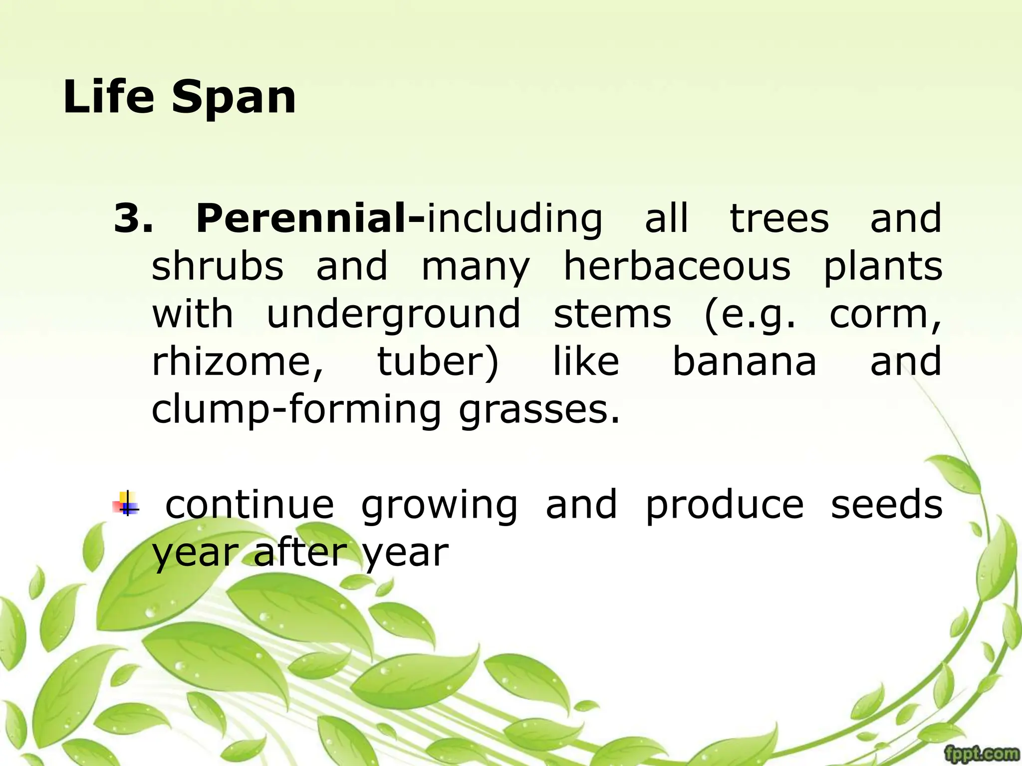 Life Span
3. Perennial-including all trees and
shrubs and many herbaceous plants
with underground stems (e.g. corm,
rhizome, tuber) like banana and
clump-forming grasses.
continue growing and produce seeds
year after year
 