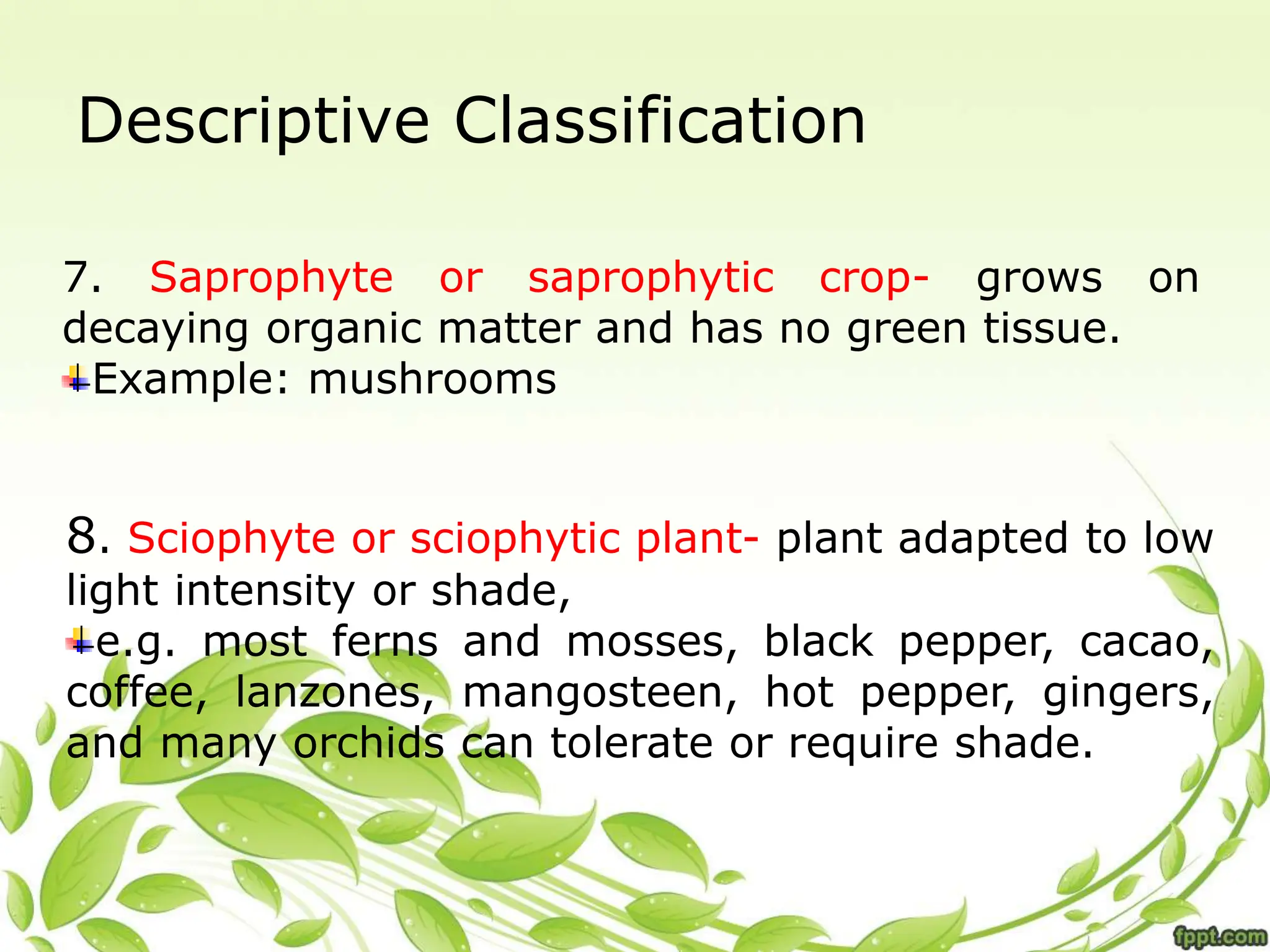 Descriptive Classification
7. Saprophyte or saprophytic crop- grows on
decaying organic matter and has no green tissue.
Example: mushrooms
8. Sciophyte or sciophytic plant- plant adapted to low
light intensity or shade,
e.g. most ferns and mosses, black pepper, cacao,
coffee, lanzones, mangosteen, hot pepper, gingers,
and many orchids can tolerate or require shade.
 