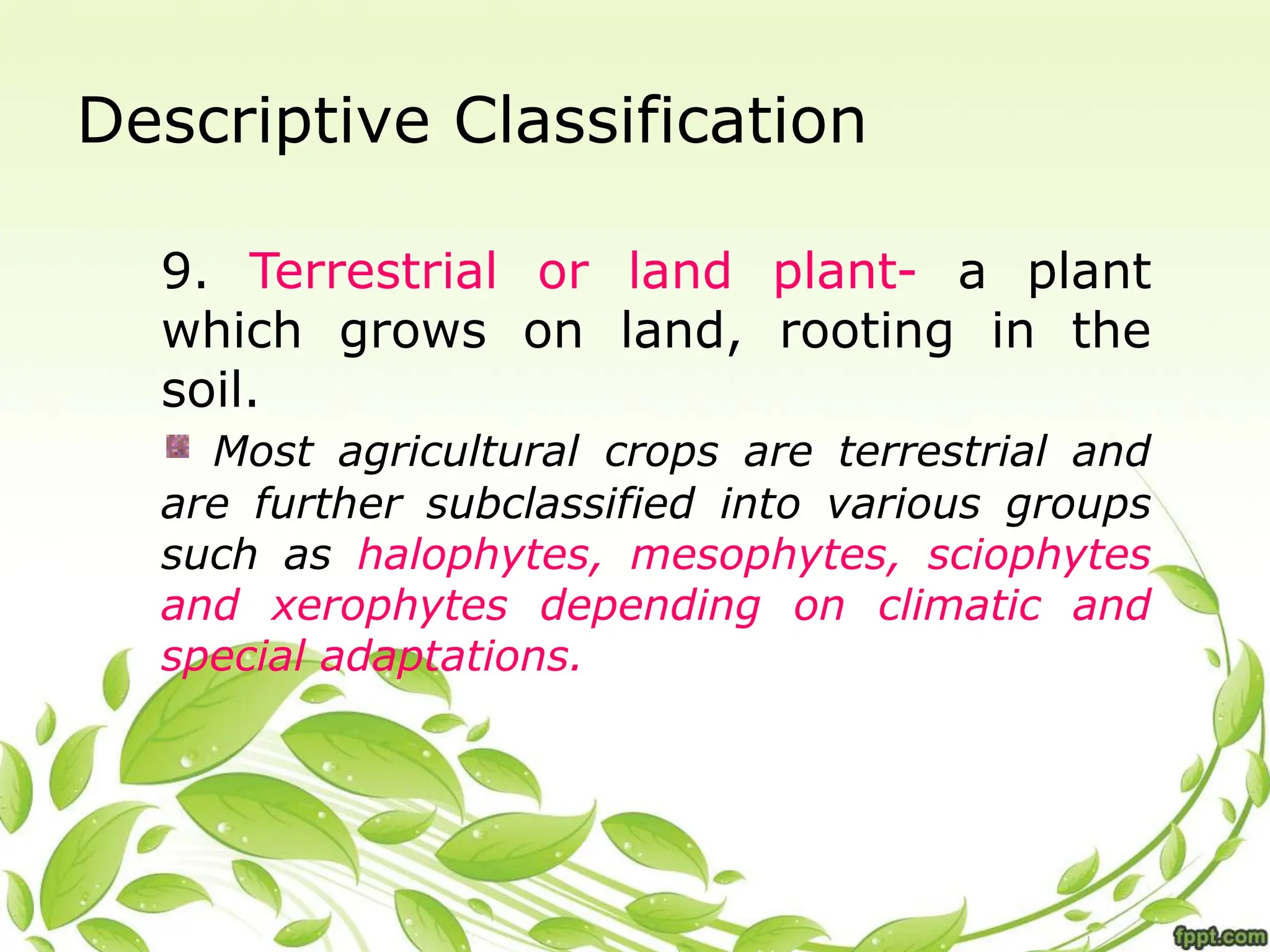 Descriptive Classification
9. Terrestrial or land plant- a plant
which grows on land, rooting in the
soil.
Most agricultural crops are terrestrial and
are further subclassified into various groups
such as halophytes, mesophytes, sciophytes
and xerophytes depending on climatic and
special adaptations.
 