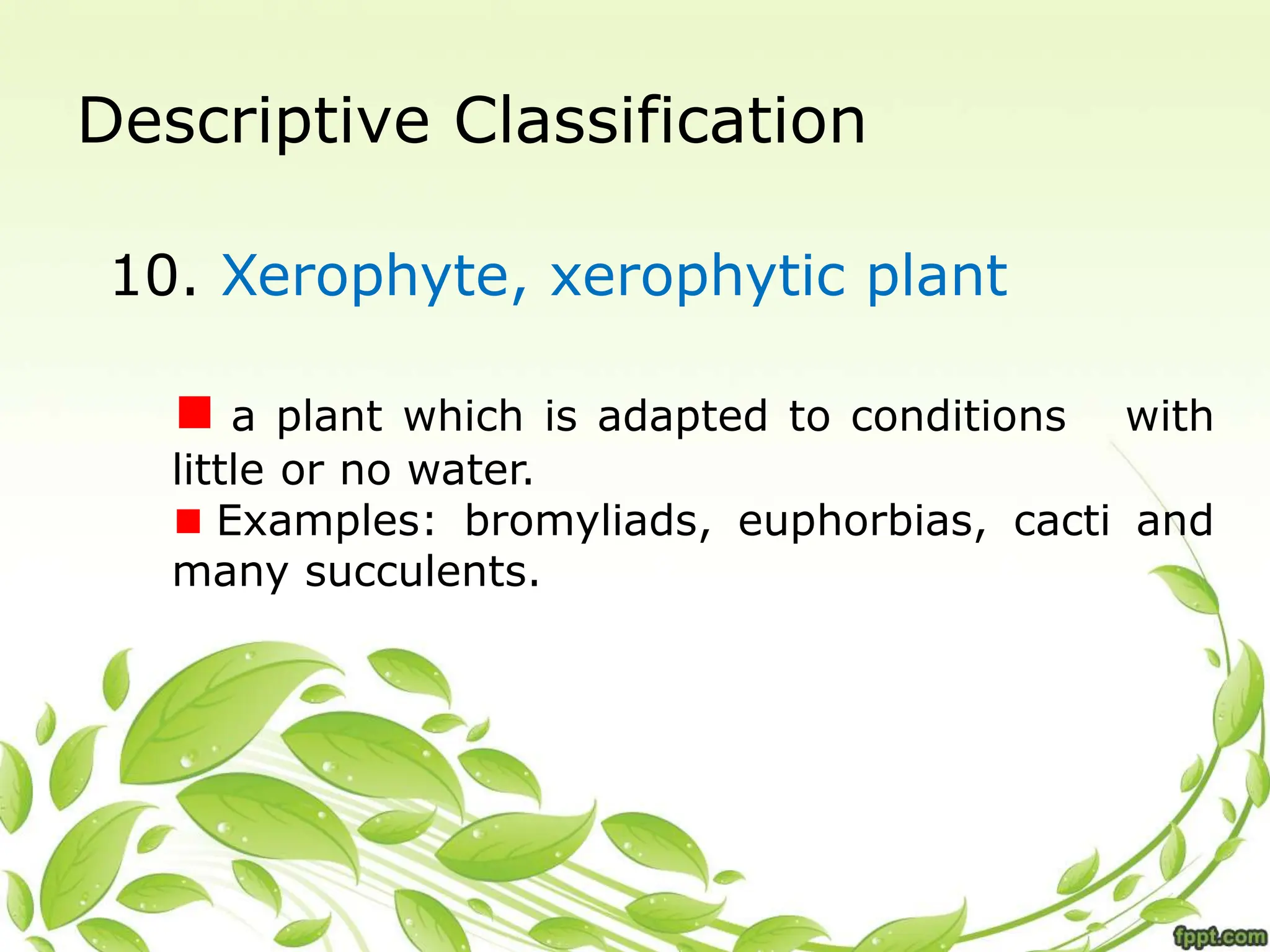 Descriptive Classification
10. Xerophyte, xerophytic plant
a plant which is adapted to conditions with
little or no water.
Examples: bromyliads, euphorbias, cacti and
many succulents.
 