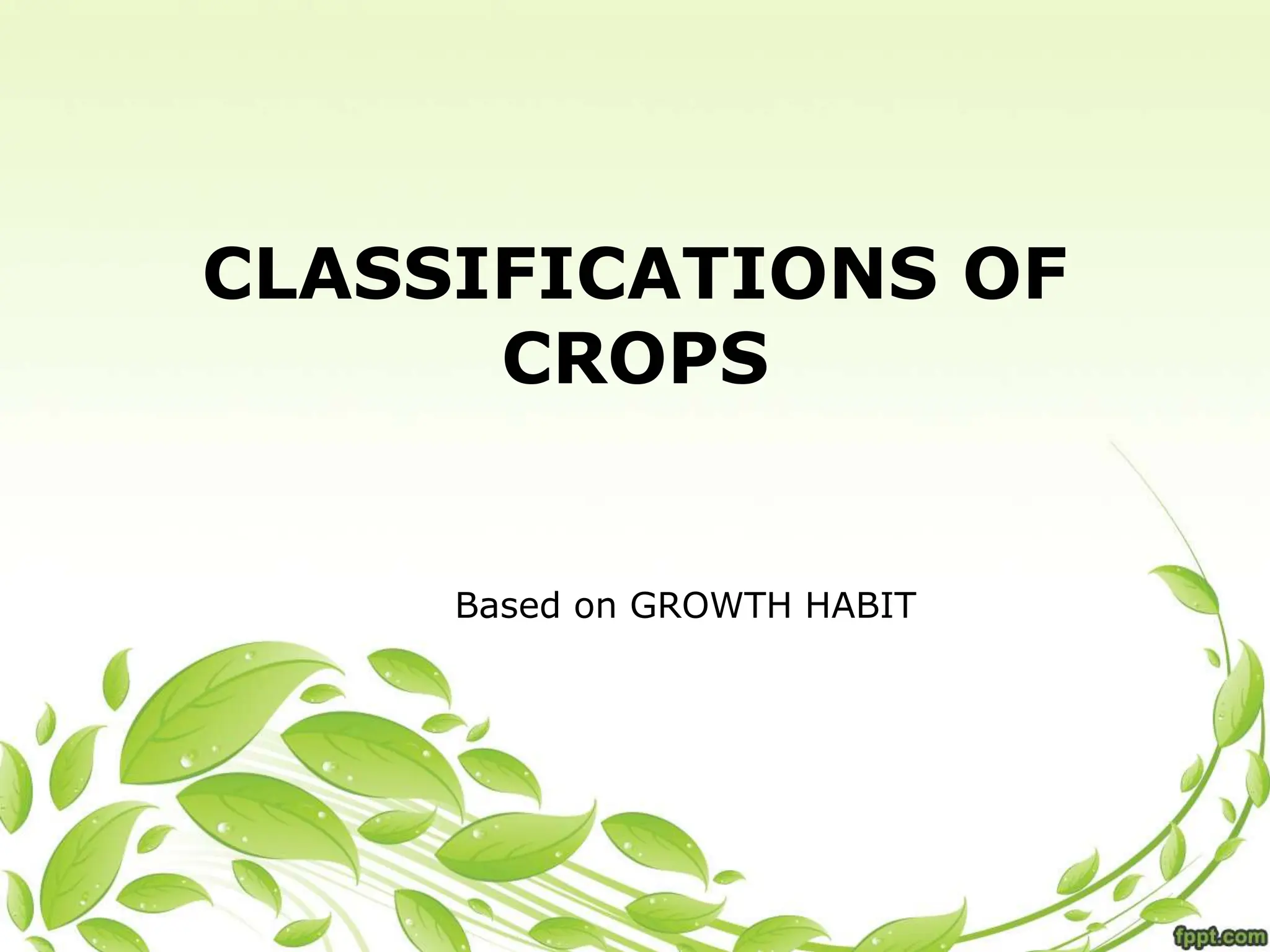 CLASSIFICATIONS OF
CROPS
Based on GROWTH HABIT
 