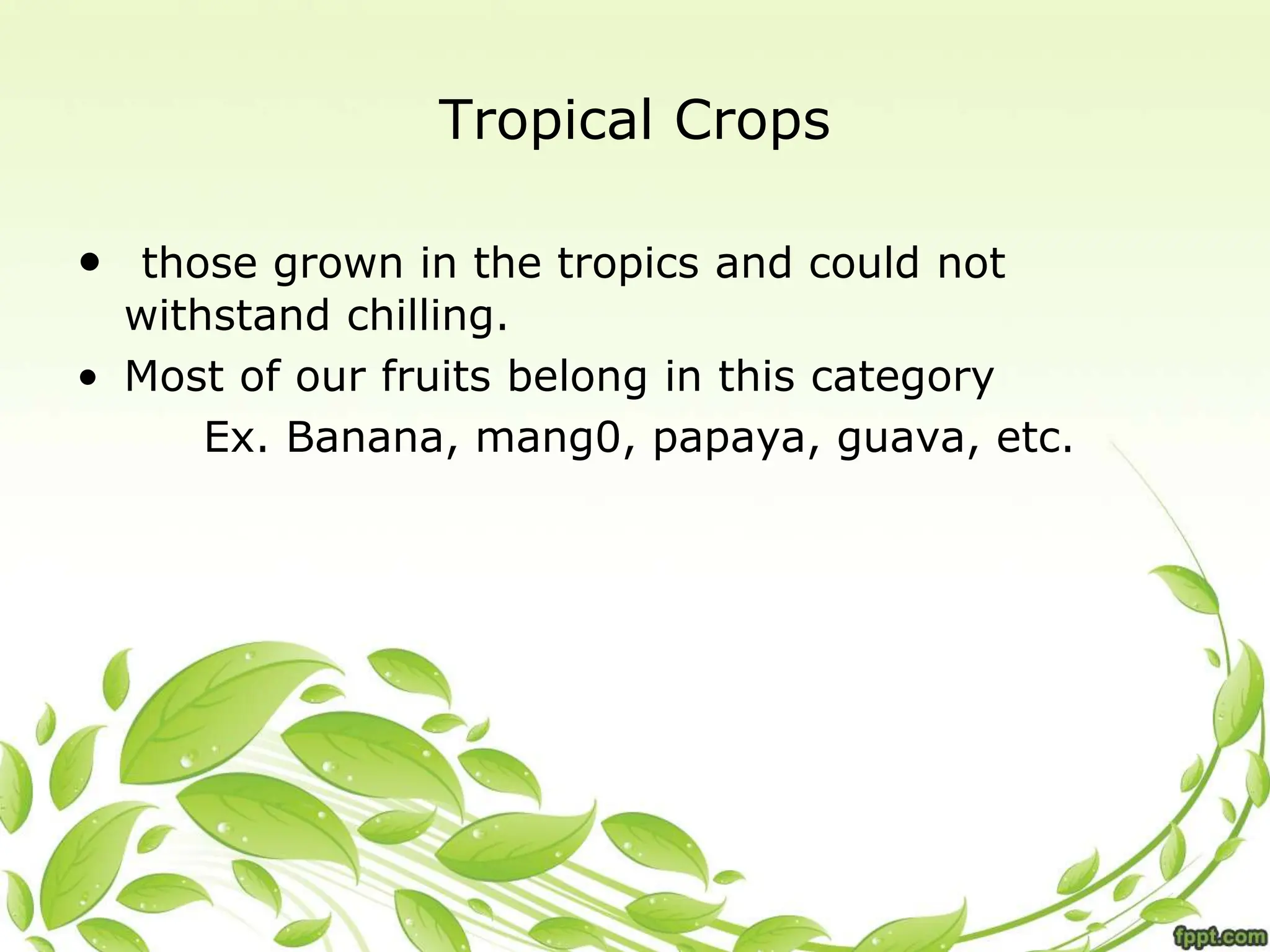 Tropical Crops
• those grown in the tropics and could not
withstand chilling.
• Most of our fruits belong in this category
Ex. Banana, mang0, papaya, guava, etc.
 