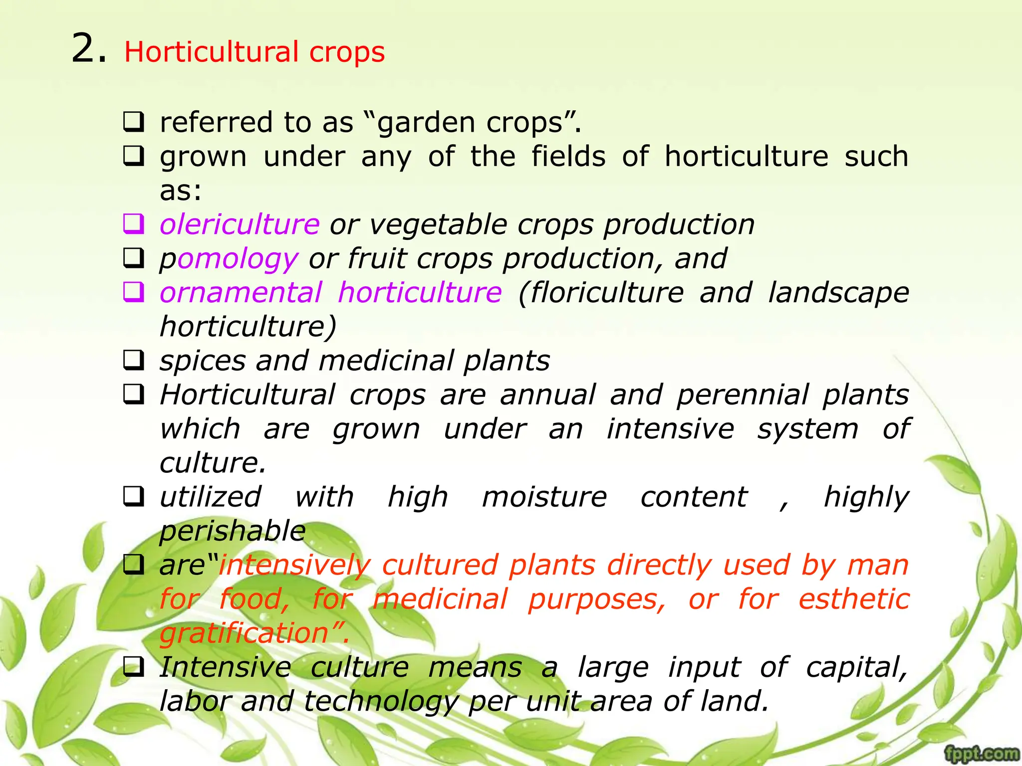 2. Horticultural crops
 referred to as “garden crops”.
 grown under any of the fields of horticulture such
as:
 olericulture or vegetable crops production
 pomology or fruit crops production, and
 ornamental horticulture (floriculture and landscape
horticulture)
 spices and medicinal plants
 Horticultural crops are annual and perennial plants
which are grown under an intensive system of
culture.
 utilized with high moisture content , highly
perishable
 are“intensively cultured plants directly used by man
for food, for medicinal purposes, or for esthetic
gratification”.
 Intensive culture means a large input of capital,
labor and technology per unit area of land.
 