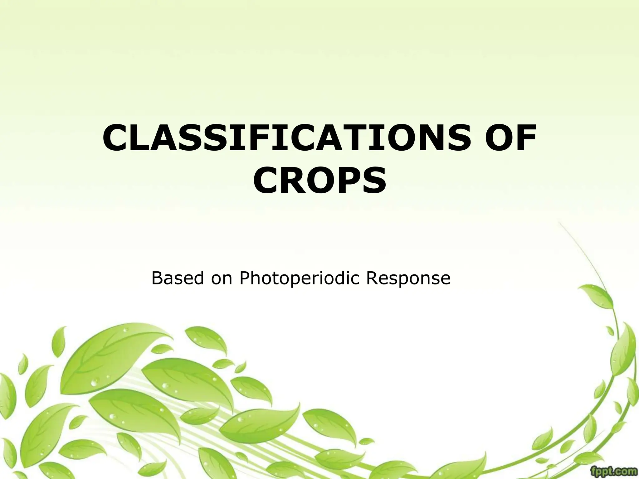CLASSIFICATIONS OF
CROPS
Based on Photoperiodic Response
 
