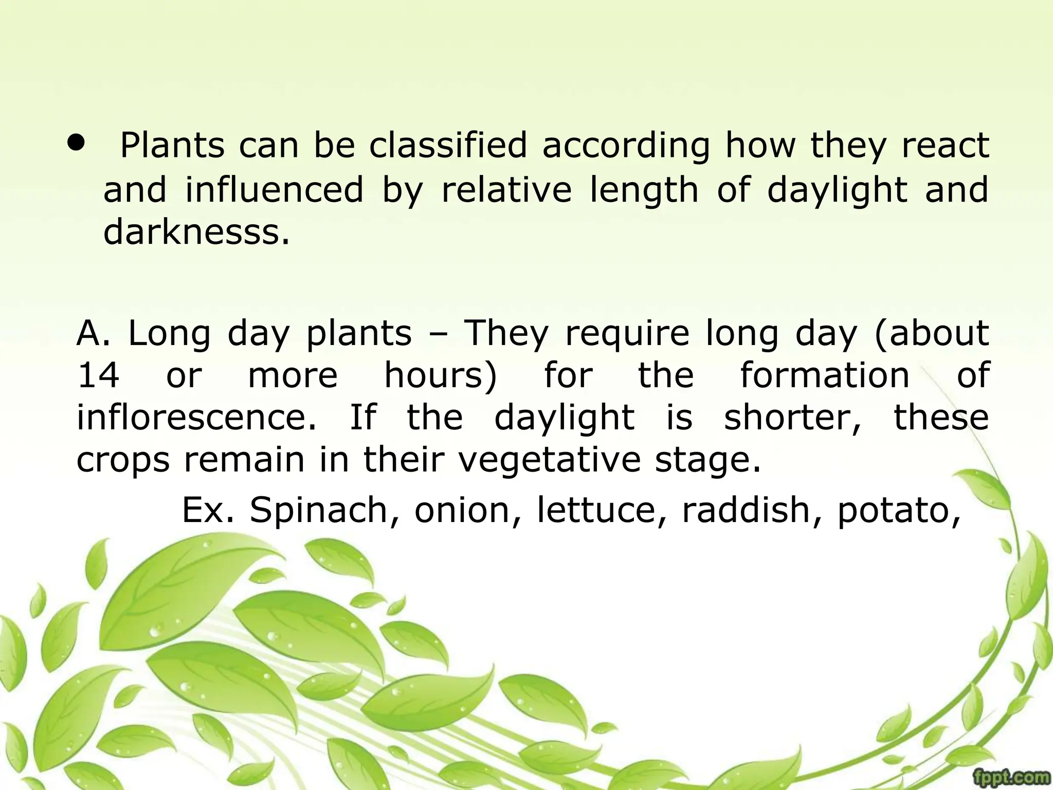 • Plants can be classified according how they react
and influenced by relative length of daylight and
darknesss.
A. Long day plants – They require long day (about
14 or more hours) for the formation of
inflorescence. If the daylight is shorter, these
crops remain in their vegetative stage.
Ex. Spinach, onion, lettuce, raddish, potato,
 