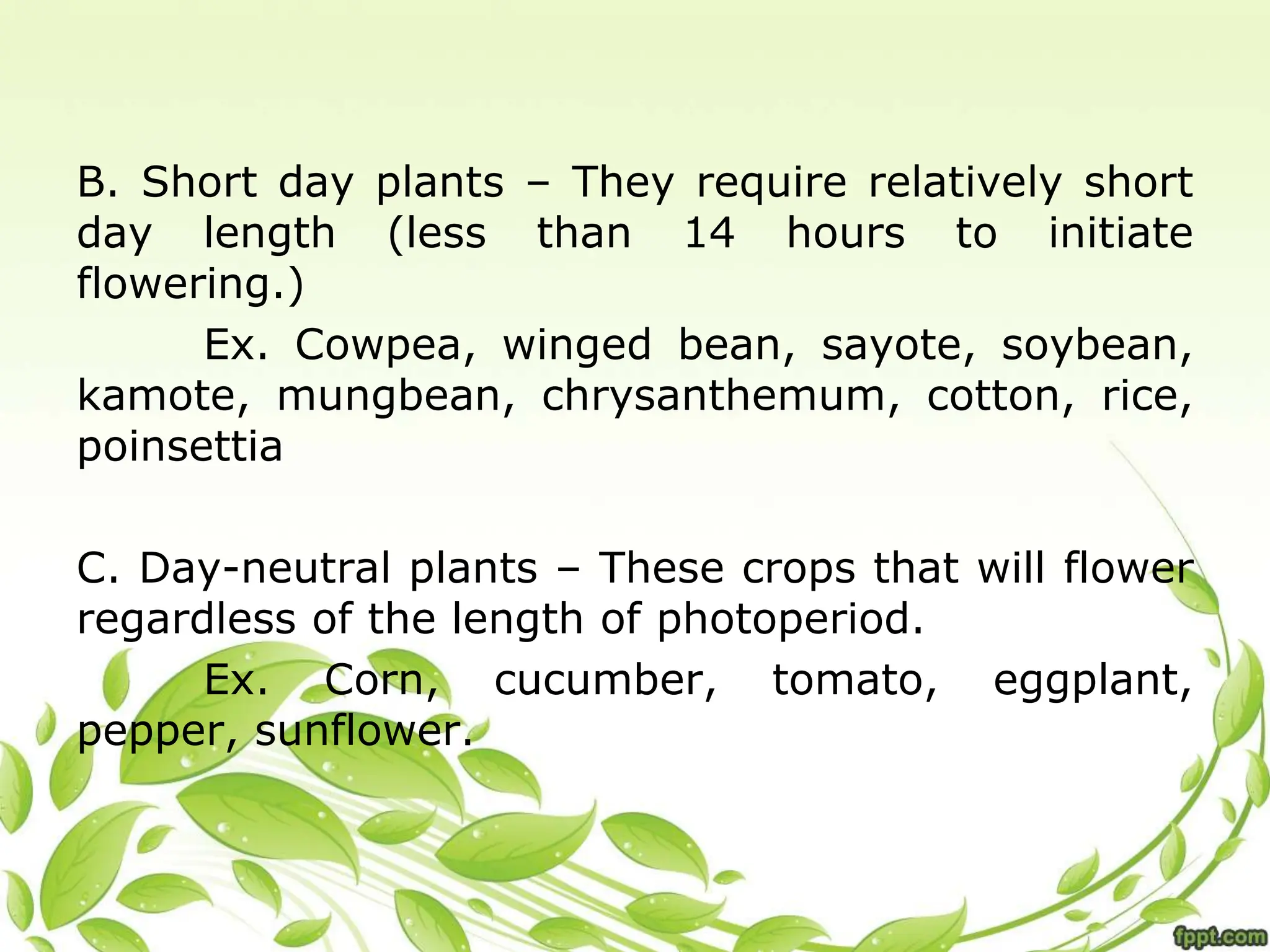B. Short day plants – They require relatively short
day length (less than 14 hours to initiate
flowering.)
Ex. Cowpea, winged bean, sayote, soybean,
kamote, mungbean, chrysanthemum, cotton, rice,
poinsettia
C. Day-neutral plants – These crops that will flower
regardless of the length of photoperiod.
Ex. Corn, cucumber, tomato, eggplant,
pepper, sunflower.
 