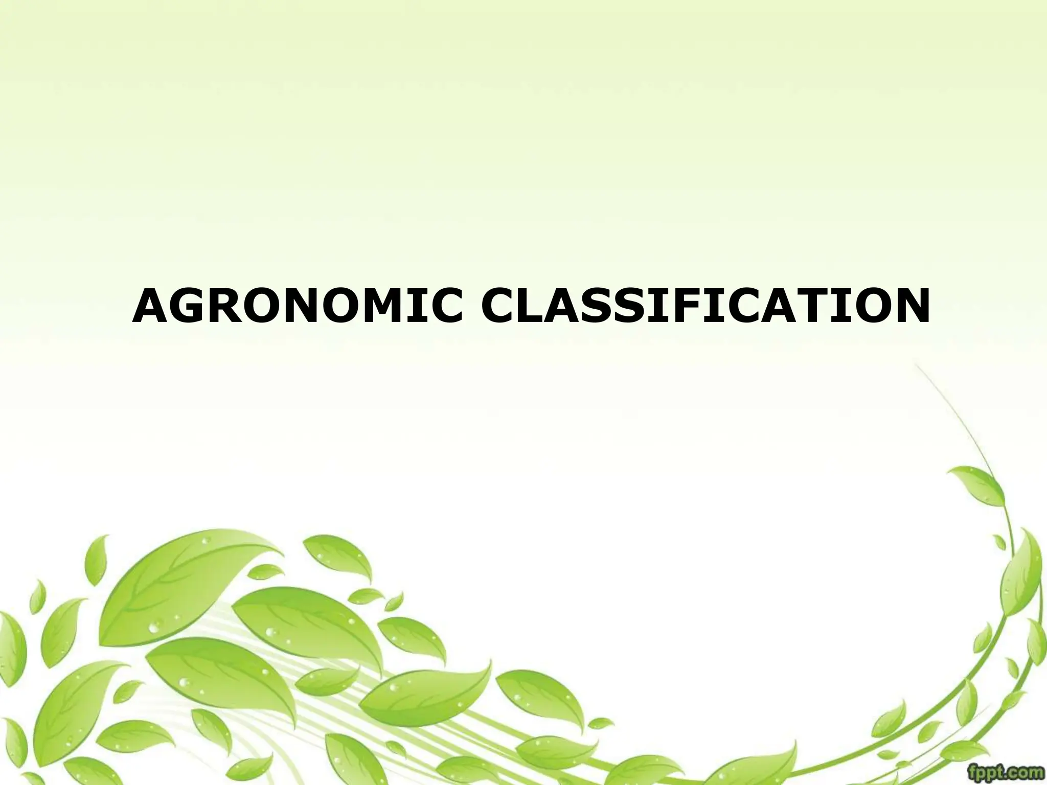 AGRONOMIC CLASSIFICATION
 