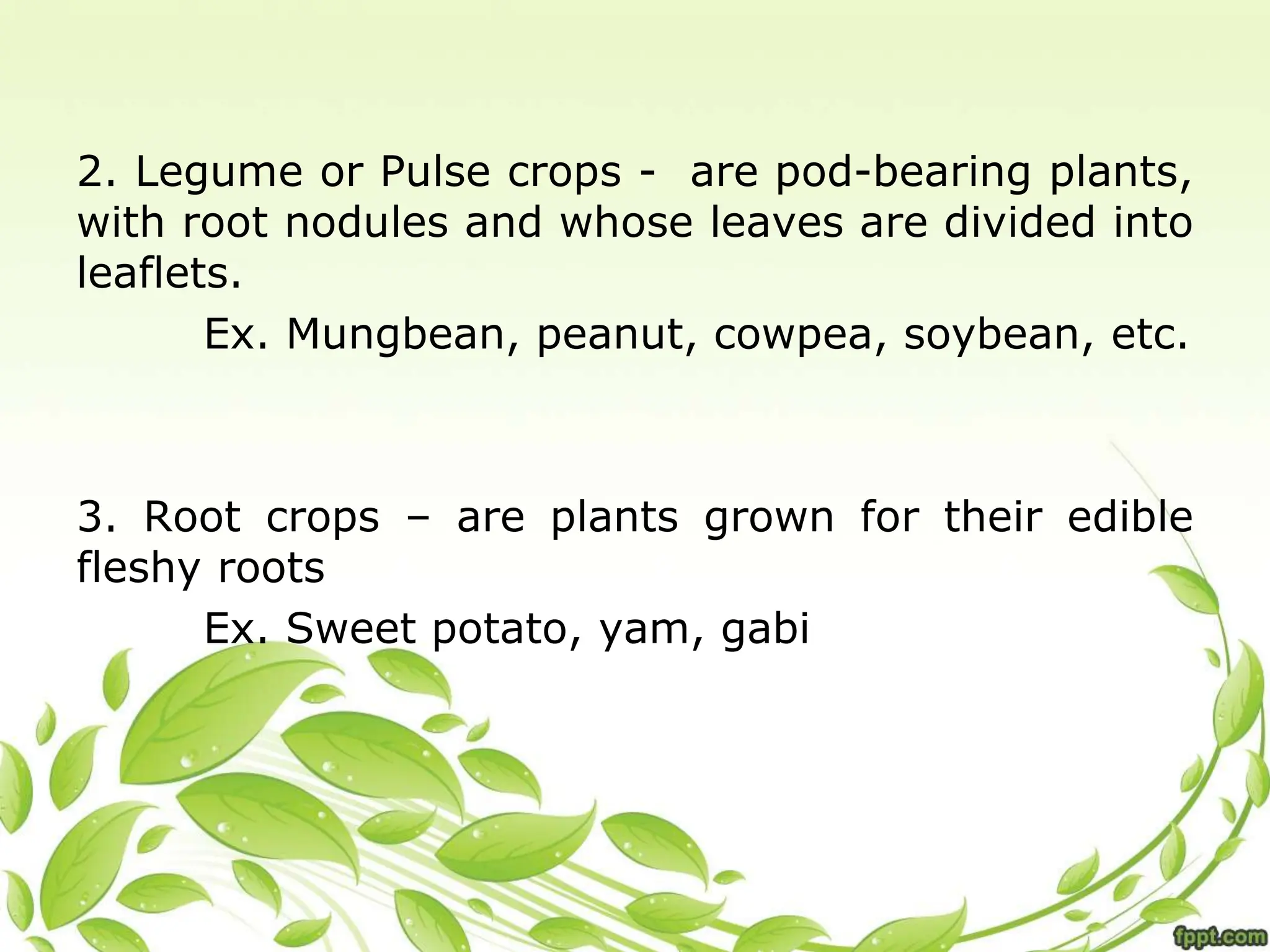 2. Legume or Pulse crops - are pod-bearing plants,
with root nodules and whose leaves are divided into
leaflets.
Ex. Mungbean, peanut, cowpea, soybean, etc.
3. Root crops – are plants grown for their edible
fleshy roots
Ex. Sweet potato, yam, gabi
 